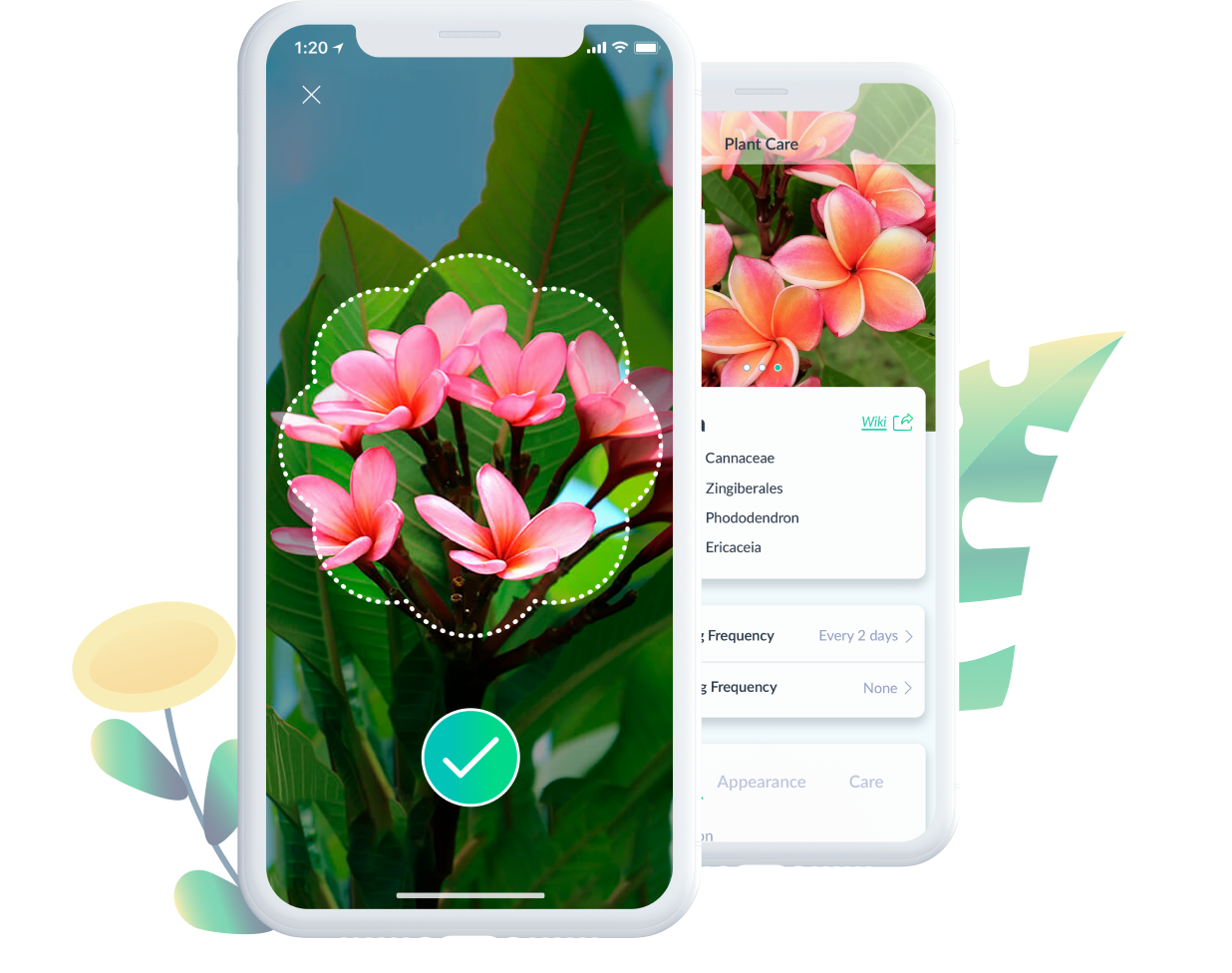 Plant Identification App - PlantSpot