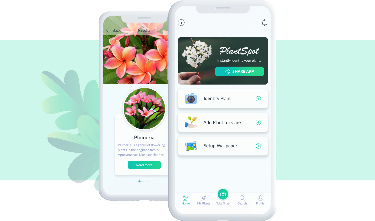 Plant Identification App - PlantSpot