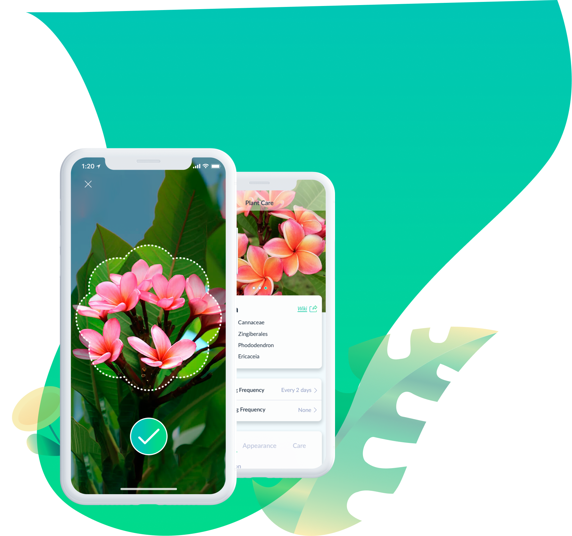 Plant Identification App - PlantSpot